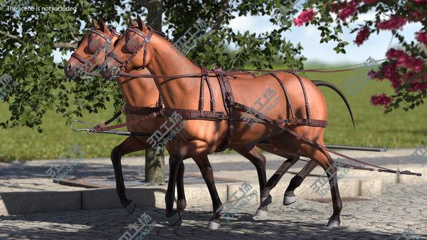 images/goods_img/20210312/Pair of Breast Collar Harness Walking Pose 3D model/5.jpg
